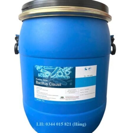 Lợi khuẩn Bacillus Clausii, cân bằng hệ vi sinh đường ruột cho tôm cá