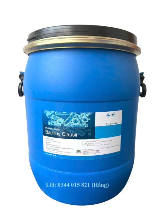 Lợi khuẩn Bacillus Clausii, cân bằng hệ vi sinh đường ruột cho tôm cá