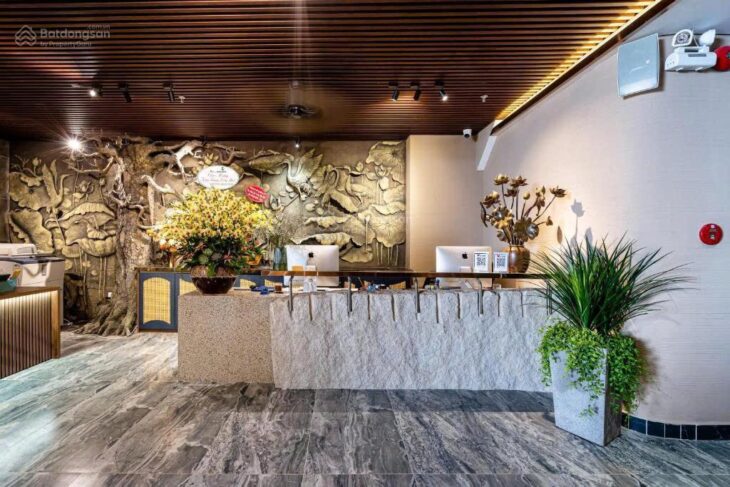 BÁN TOÀ NHÀ 6 TẦNG – 262,1m² – Dương Quảng Hàm, Phường 5, Gò Vấp – GIÁ 45 TỶ