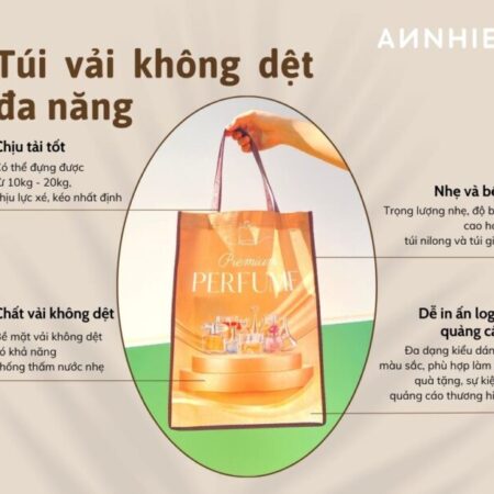 Cơ sở cung cấp túi vải không dệt tại Vĩnh Long
