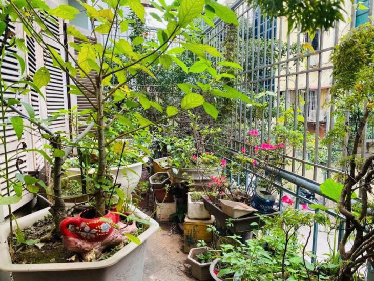 BÁN NHÀ PHÂN LÔ LẠC TRUNG, HAI BÀ TRƯNG – 80M² x 4T – MT 7M – Ô TÔ TRÁNH – KINH DOANH