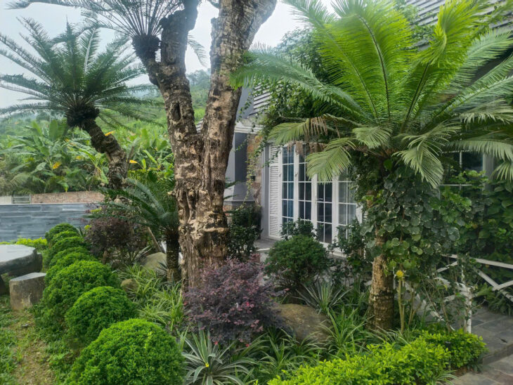 Bán biệt thự nhà vườn nghỉ dưỡng tại Phú Mãn, view suối đẹp – 516m2 – giá chỉ 8.5 tỷ
