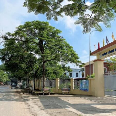 BÁN ĐẤT ĐẤU GIÁ PHÚC THỌ, GIÁ 4X, Ô GÓC MT 8M