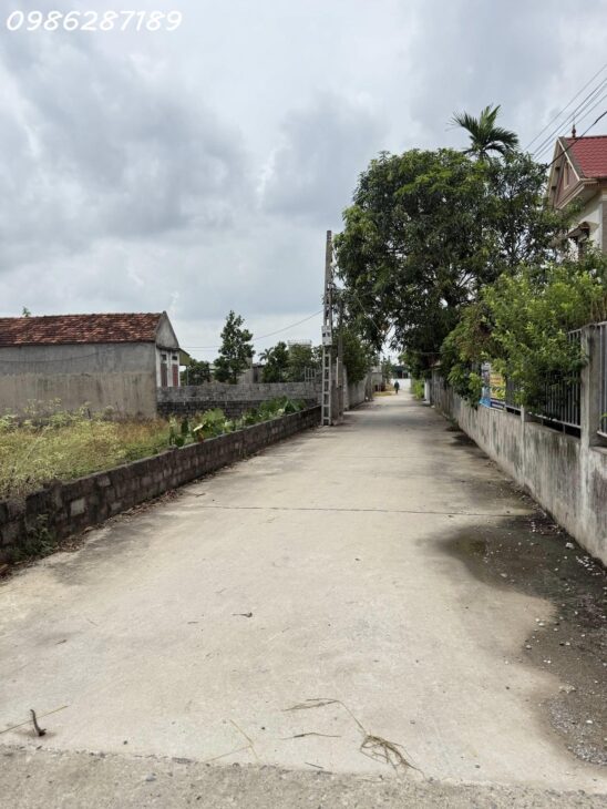 BÁN 3 LÔ ĐẤT ĐẸP – THÔN AN CƯỜNG, XÃ QUANG MINH, LƯƠNG TÀI, BẮC NINH