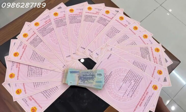 Sở hữu ngay 11 lô đất tâm huyết tại Nhất Trai – Quang Minh – Lương Tài – Bắc Ninh