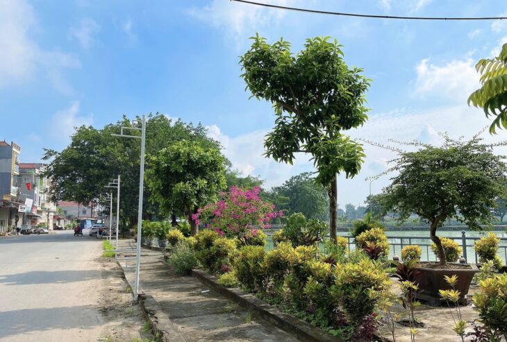 BÁN ĐẤT ĐẤU GIÁ PHÚC THỌ, GIÁ 4X, Ô GÓC MT 8M
