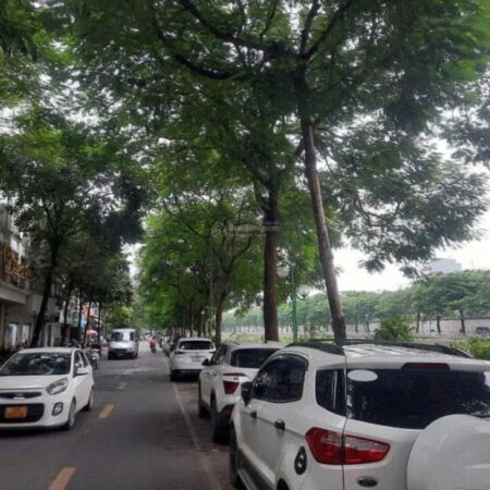 MẶT PHỐ NGUYỄN ĐÌNH HOÀN – KINH DOANH TẤP NẬP – VỈA HÈ– 2THOÁNG TRUÓC SAU 133M 35,2 TỶ