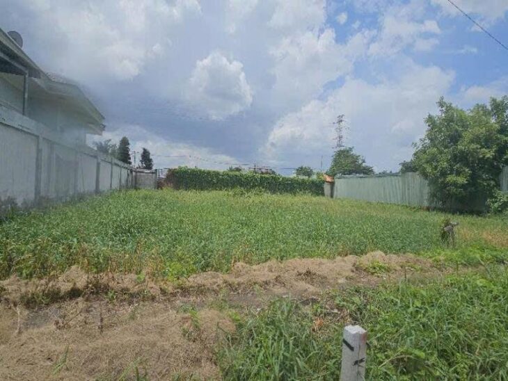 Đất NN view sông 954m2, Vuông – An Phú Đông 3 Q12