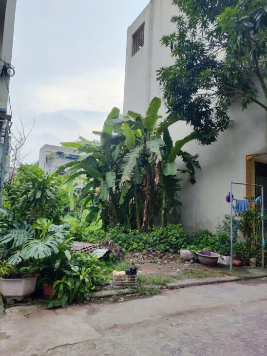 🔥🔥🔥THỬA ĐẤT ĐẸP – AN SINH SƯỚNG-GIÁ NHỈNH 5 TỶ