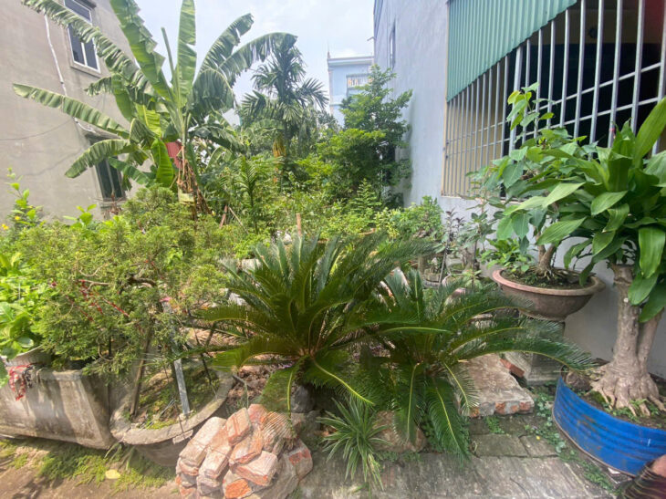 Bán đất Ngô Gia Tự – Long Biên Oto – Kinh Doanh- 2 thoáng -90M nhỉnh 8 tỷ ( Thương lượng)