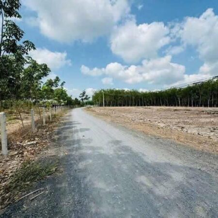 📌 Đất 5x37m, thổ cư 100m² – Giá chỉ 480 triệu