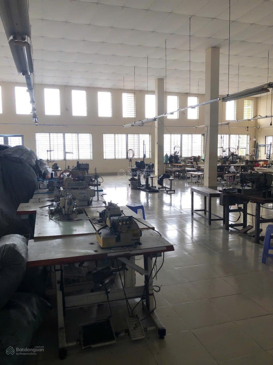 Cho thuê 1217m2 nhà xưởng đường Trịnh Đình Trọng, quận Tân Phú