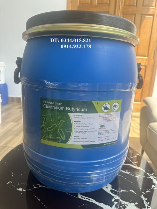 Clostridium Butyricum, men vi sinh bổ sung hệ vi sinh vật đường ruột cho vật nuôi