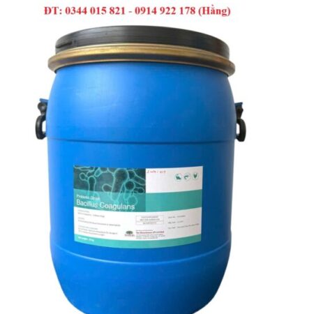 Lợi khuẩn Bacillus Coagulans, bổ sung hệ vi sinh vật đường ruột cho tôm cá
