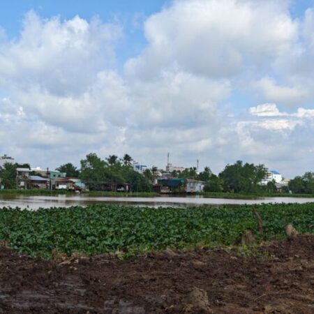 56. cho thuê đất 5 triệu 1200m2 gần cầu Cồn Khương 2 mặt lộ và sông