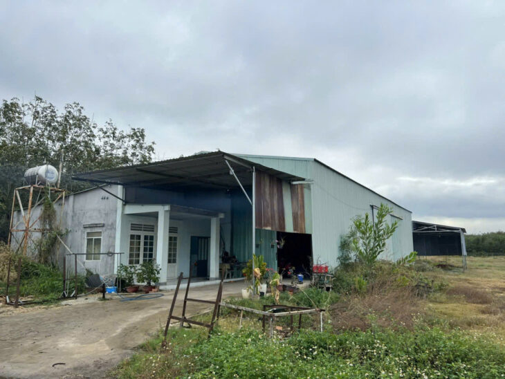 BÁN GẤP! SIÊU PHẨM 4.420,8M² (559m² TC + XƯỞNG), MT 10M NHỰA, Chỉ 5.3 Tỷ, XÃ Tân Bình, TÂY NINH.
