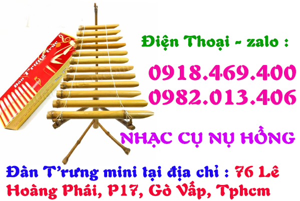 Chỗ bán đàn t’rưng mini, t’rưng 3 giàn, t’rưng 1 giàn, đàn đá mini tại Tp.Hcm ( Gò Vấp )