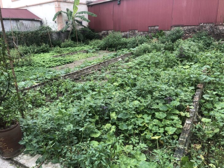 *LÊ XÁ- GIA LÂM*136M NHỈNH 5Đ – HÀNG XÓM VINHOME GIA LÂM – TRUNG TÂM – TIỀM NĂNG SINH LỜI.