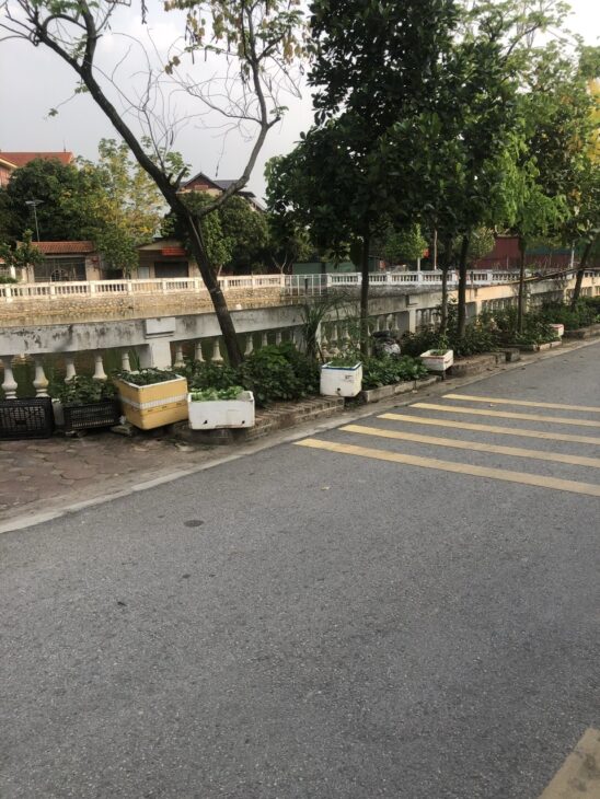 ĐẦU TƯ ĐINH ( ĐẤT ĐA TỐN ). ĐƯỜNG TRỤC CHÍNH-Ô TÔ NGỦ TRONG NHÀ- HÀNG XÓM VIN & ECO. 52M2 GIÁ 2,8 TỶ