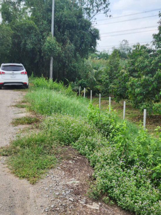 ĐẤT ĐẸP – GIÁ RẺ – CẦN BÁN NHANH 2 LÔ ĐẤT Siêu Đẹp Tại CHÂU THÀNH, ĐỒNG THÁP