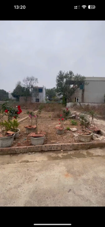 CHÍNH CHỦ GỬI BÁN – LÔ GÓC SIÊU ĐẸP 72M² – PHÚC LỘC, PHÚC THỌ, HÀ NỘI