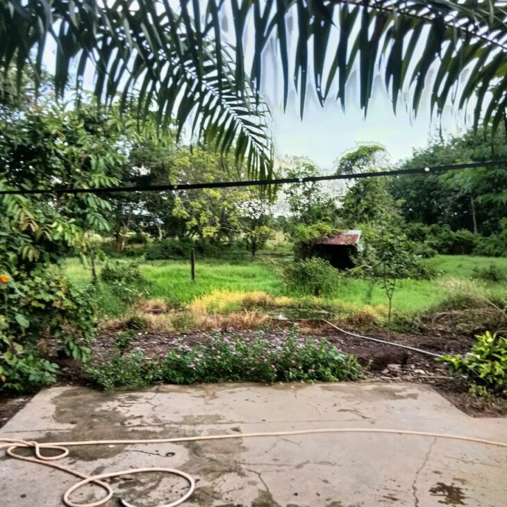 HOT HOT – CẦN BÁN LÔ ĐẤT TẠI Tô 9, Ấp Thanh Thủy, Thị trấn Thanh Bình, Huyện Bù Đốp, Bình Phước