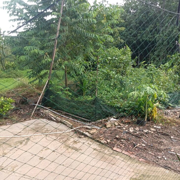 HOT HOT – CẦN BÁN LÔ ĐẤT TẠI Tô 9, Ấp Thanh Thủy, Thị trấn Thanh Bình, Huyện Bù Đốp, Bình Phước