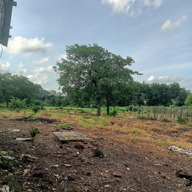 HOT HOT – CẦN BÁN LÔ ĐẤT TẠI Tô 9, Ấp Thanh Thủy, Thị trấn Thanh Bình, Huyện Bù Đốp, Bình Phước