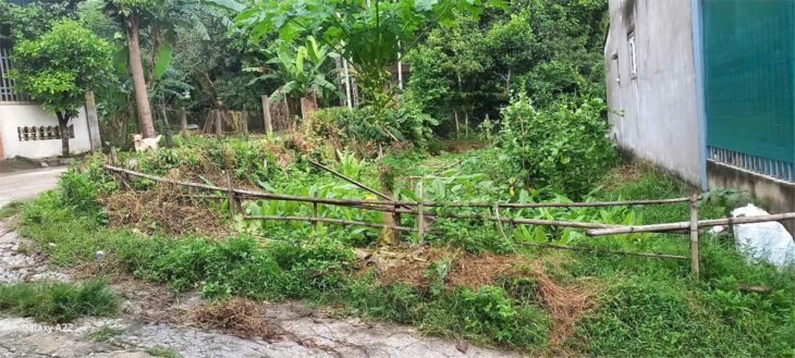 ĐẤT SIÊU ĐẸP – GIÁ ĐẦU TƯ- CHÍNH CHỦ Cần Bán Lô Đất Tại Xã Sơn Bình, hương sơn , hà tĩnh