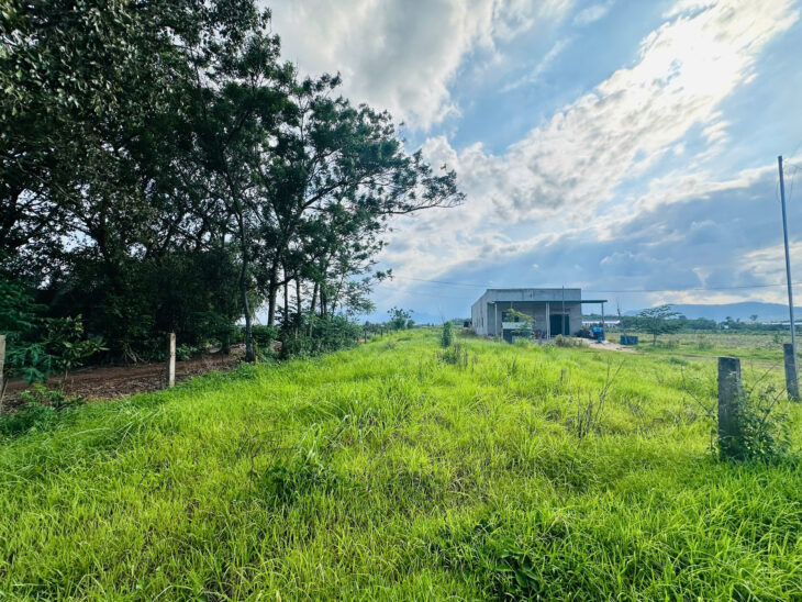 Bán 1.1 sào đất Tân Nghĩa – Hàm Tân giá rẻ 750 triệu đường ô tô