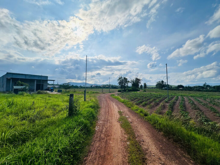 Bán 1.1 sào đất Tân Nghĩa – Hàm Tân giá rẻ 750 triệu đường ô tô