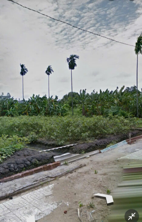 Bán đất 25x62m full thổ cư giá 25 triệu/m2 Đường 6m Thạnh Xuân 52