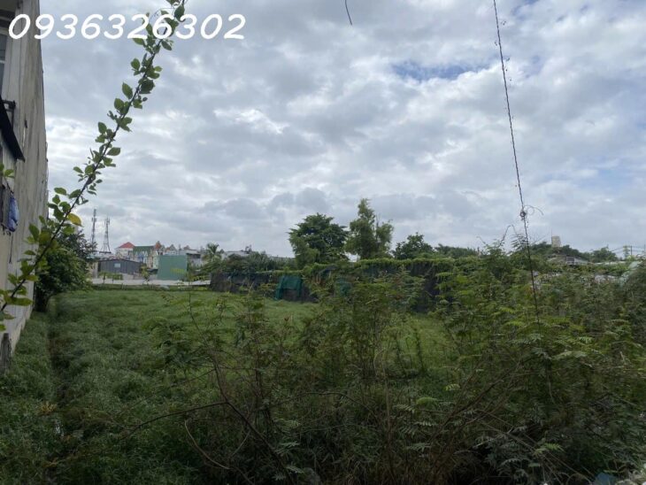 Đất Hẻm Phan Văn Hớn Xuân Thới thượng Hóc môn 1500m2 Ngang Khủng 23m
