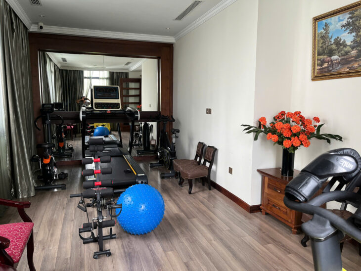 ???? CHUYỂN NHƯỢNG BIỆT THỰ ĐƠN LẬP CĂN GÓC – NGUYỆT QUẾ 17-02, VINHOMES RIVERSIDE ????