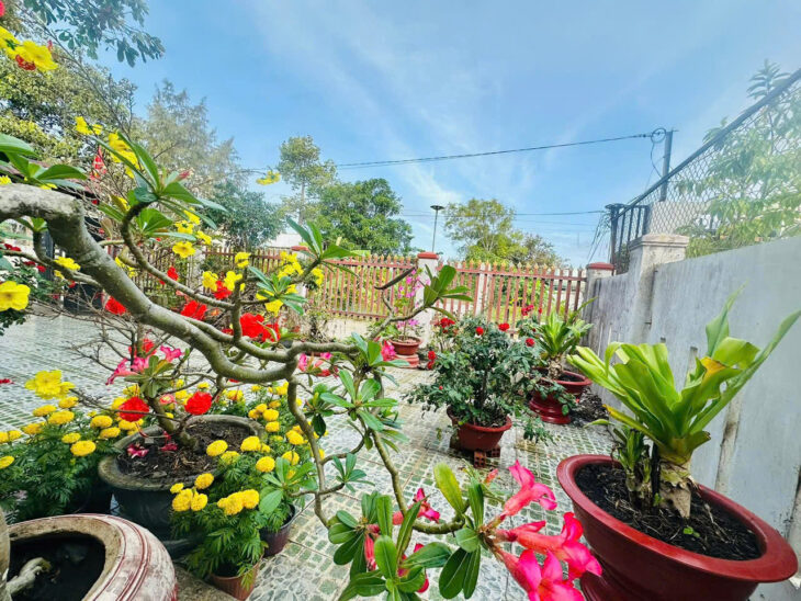 Bán nhà vườn492m2 gần biển Bình Tân , LaGi giá rẻ nhất chỉ 7.5tr/m2