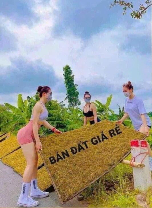 MẢNH ĐẤT VÀNG GIỮA LÀNG ĐÀO XUYÊN 57m2 CHỈ 3,9 TỶ Giá đầu tư cực ngọt – Xuống tiền là có lãi ngay!