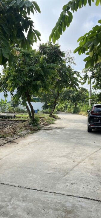 Đất đẹp- đầu tư là sinh lời Chính chủ cần bán nhanh lô đất tiềm năng tại quận 9, TPHCM
