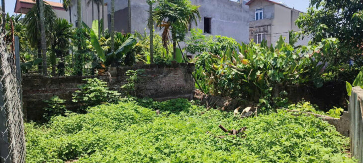 BÁN ĐẤT LÔ GÓC 37,7 M2 TẠI ĐỒNG MAI HÀ ĐÔNG, MT 3,6M GIÁ 2TY920