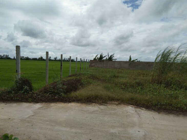 ĐẤT ĐẸP – GIÁ TỐT CHÍNH CHỦ Bán 2 nền liền kề full thổ cư tại xã Phú Thuận, Thoại Sơn, An Giang