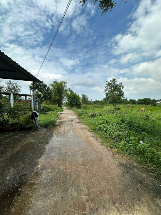Bán đất thổ cư Tân Bình, thị xã LaGi chỉ 980 triệu đường ô tô