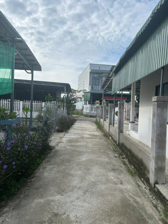 Bán 410m2 Lô Góc đất ONT Gần Biển Tân Phước – TX LaGi giá ngộp