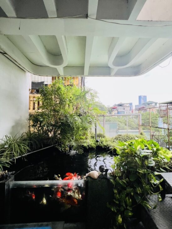 HỒ TÂY 40M NGÕ Ô TÔ VF3 ĐỖ CỬA 10M RA PHỐ 50M RA HỒ GIÁ 8 TỶ 9