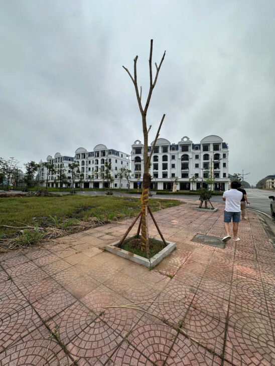 CHÍNH CHỦ CẦN BÁN LÔ ĐẤT TẠI PHƯỜNG CẨM BÌNH – TP CẨM PHẢ – QUẢNG NINH