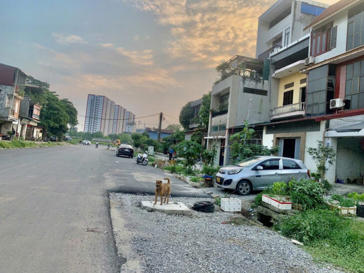 BÁN ĐẤT PHÂN LÔ – Ô TÔ VÀO – GẦN HỒ – DÂN TRÍ CAO 📍 Ngọc Thụy, Long Biên – 99m² – Giá 15.4 tỷ