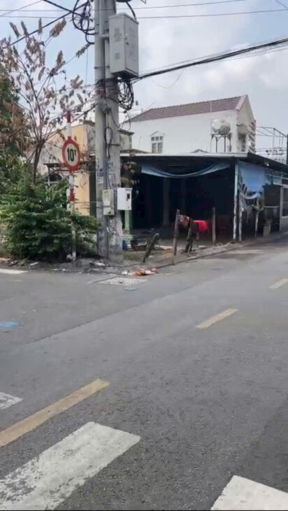 BÁN LÔ ĐẤT 2 MẶT TIỀN ĐƯỜNG NHỰA THÔNG – TÂN XUÂN 4, CÁCH SONG HÀNH CHỈ 20M