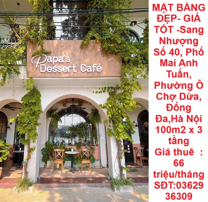 MẶT BẰNG ĐẸP- GIÁ TỐT -Sang Nhượng Số 40, Phố Mai Anh Tuấn, Phường Ô Chợ Dừa, Đống Đa,Hà Nội