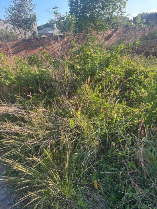 ĐẤT ĐẸP – GIÁ TỐT – Chính Chủ Cần Bán Lô Đất 2 MẶT TIỀN Khu phố 4C, Phường Trảng Dài, Đồng Nai