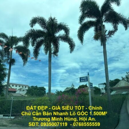 ĐẤT ĐẸP – GIÁ SIÊU TỐT – Chính Chủ Cần Bán Nhanh Lô GÓC 1.500M² Trương Minh Hùng, Hội An.