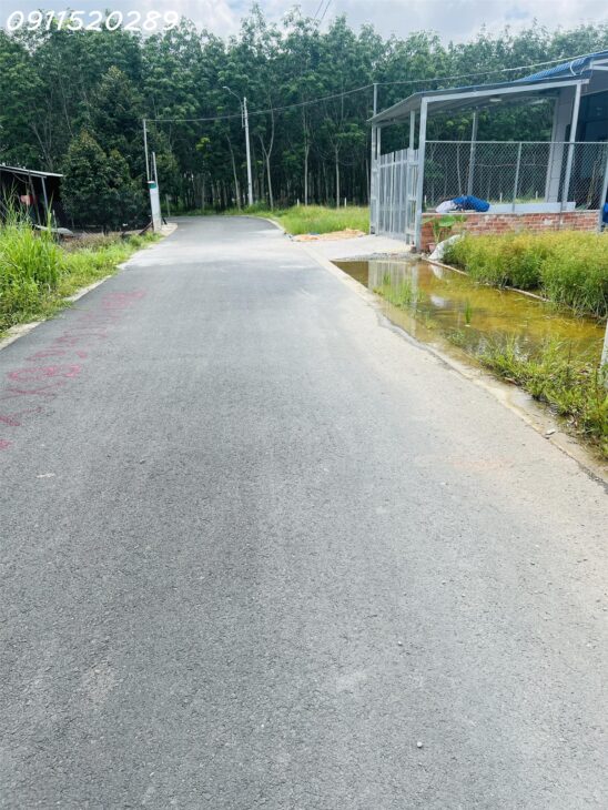 ĐẤT NGỘP – GIÁ CÔNG NHÂN