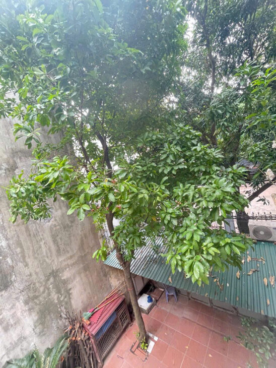 BÁN SIÊU PHẨM LÁNG HẠ, ĐỐNG ĐA – 218M² – MT HƠN 13M – KINH DOANH – Ô TÔ – GIÁ CHỈ 32 TỶ